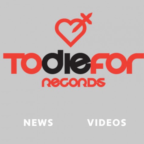 TDF Records - Record Label Website Design